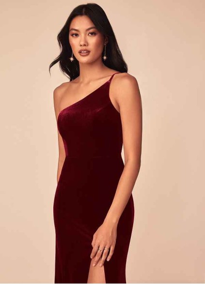 Earizer Kala Velvet Dress