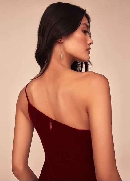 Earizer Kala Velvet Dress