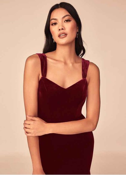 Earizer Lanessa Velvet Dress