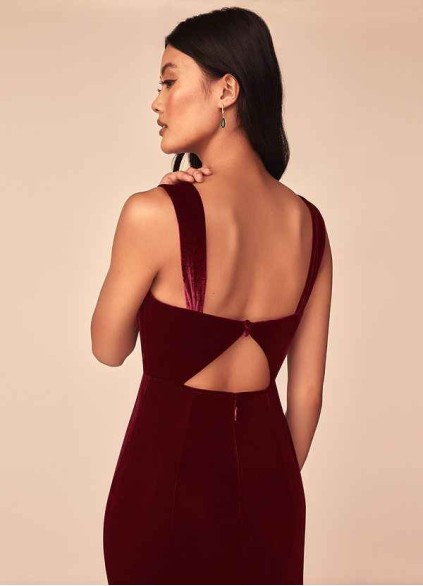 Earizer Lanessa Velvet Dress